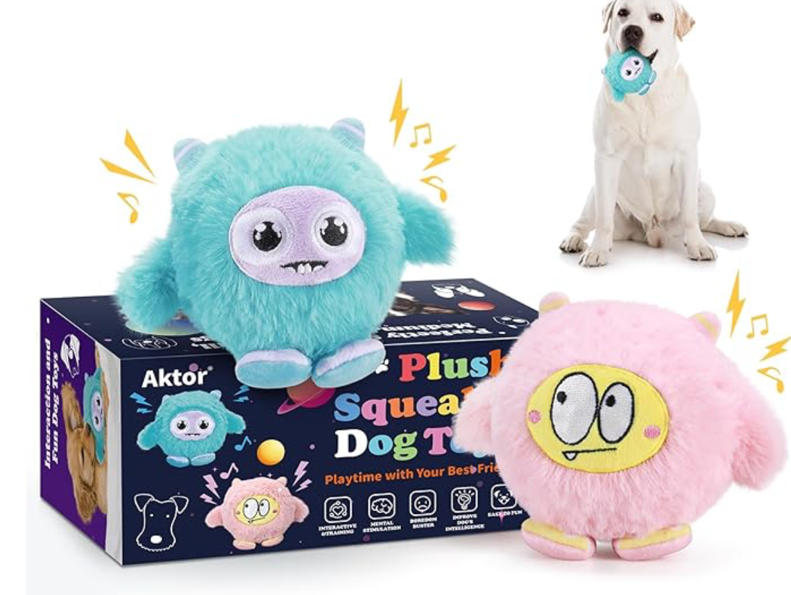 Dog Toys for Aggressive Chewers